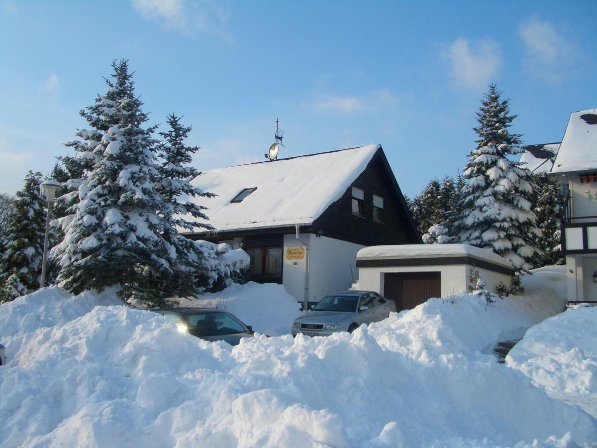 Haus Hannelore Willingen  Exterior foto